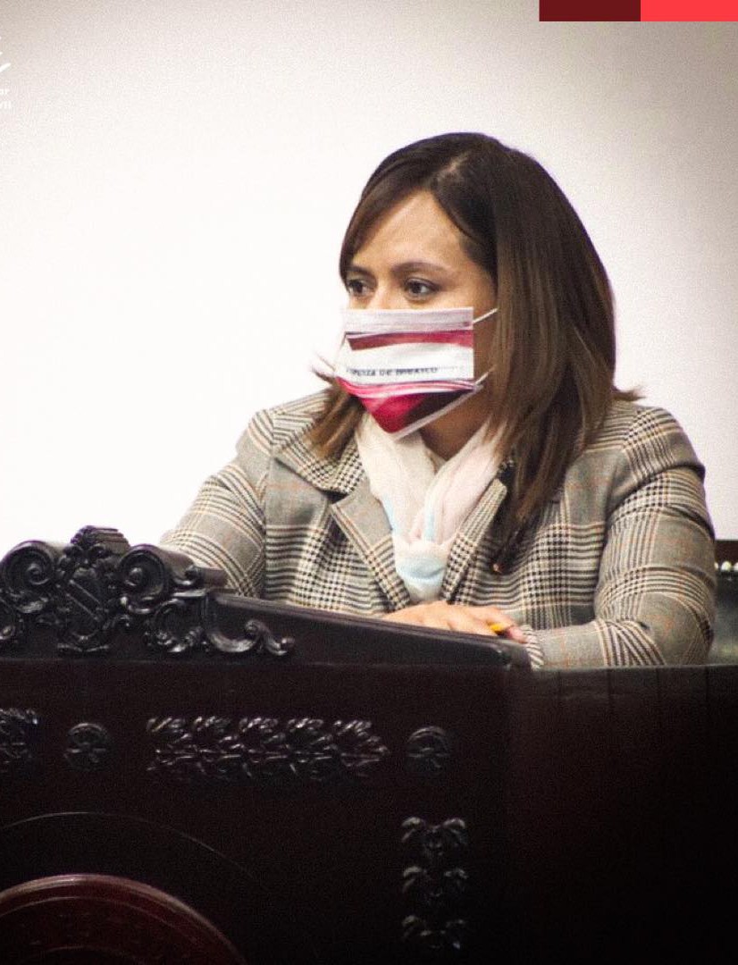 Coordinadora Morena en el Congreso