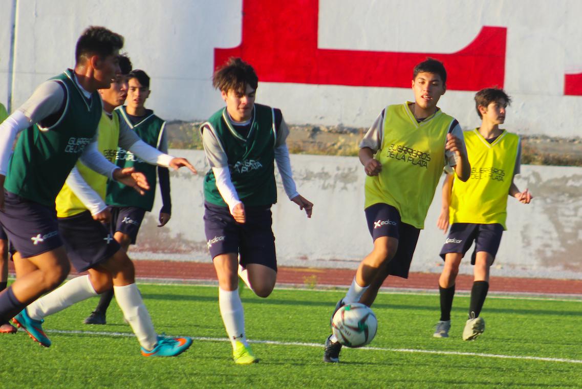 Guerreros la Plata