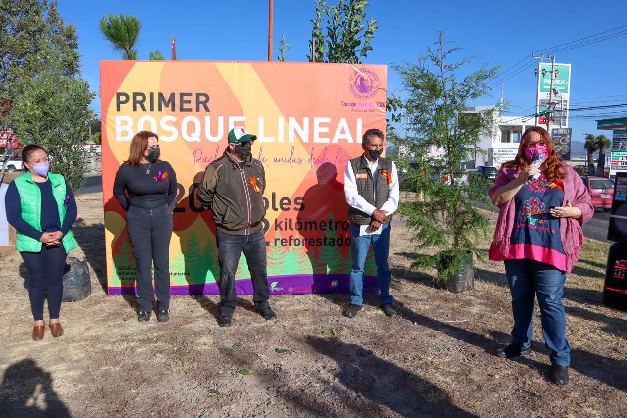 Reforestan para crear “bosque lineal” en Pachuca