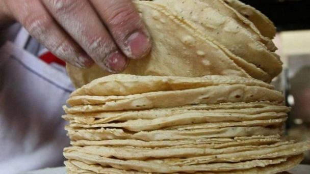 Tortilla no aumentará de precio en enero: AMLO