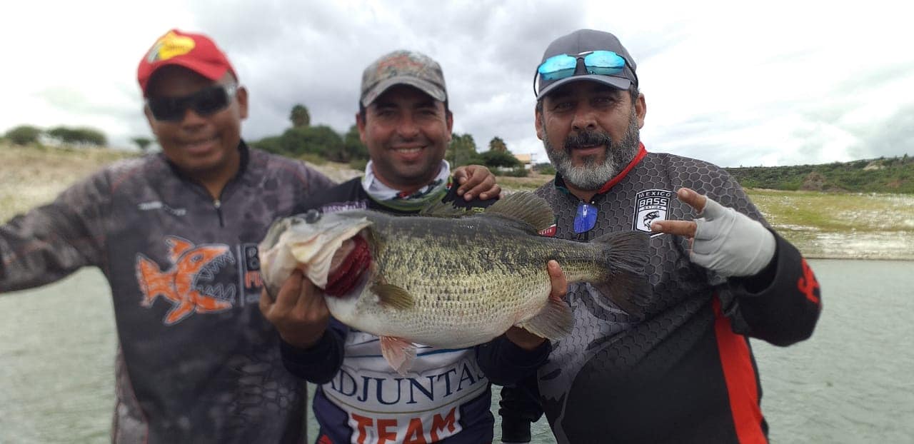 Apoyan con programa Bienpesca a 800 pescadores hidalguenses