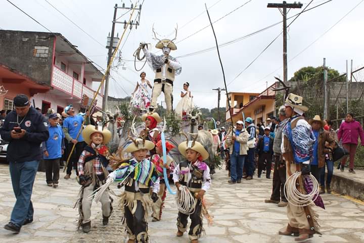 Suspenden carnavales en Huasteca y Sierra por pandemia