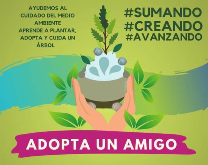 Invitan a adoptar y cuidar arbolitos en Atotonilco El Grande