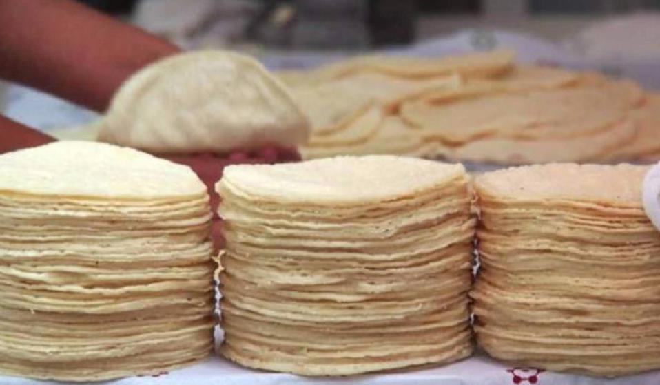 Tortillas piratas: ¿dónde las venden y cómo identificarlas?