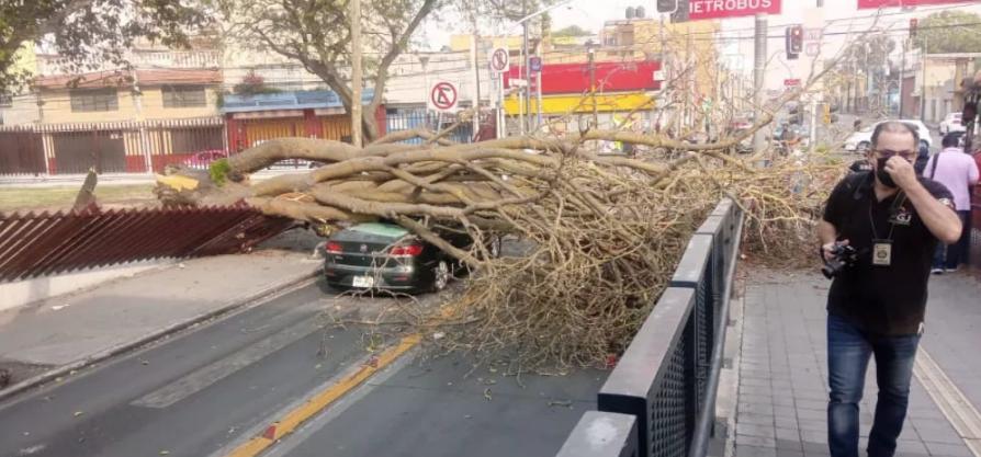 Rachas de viento del domingo, las más altas en 32 años