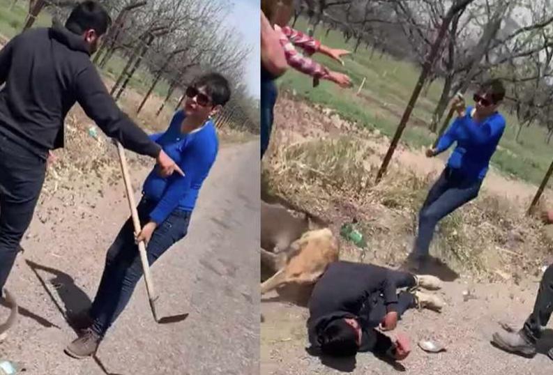 VIDEO | #LadyAzadón ataca a un hombre y a su perro; al joven le fractura el cráneo