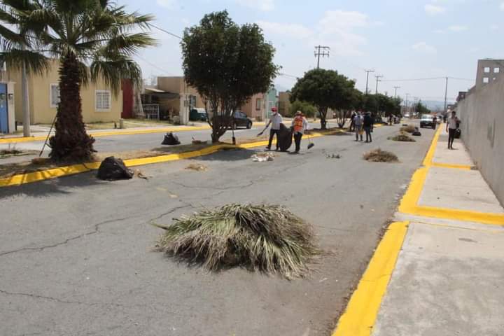 Mejoran imagen de avenidas en San Alfonso y Santa Matilde