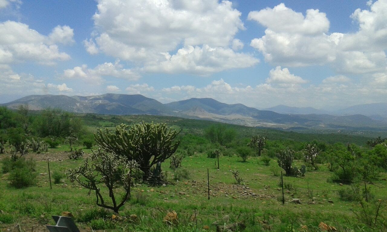 Hidalgo, uno de los cinco estados sin jardín etnobiológico