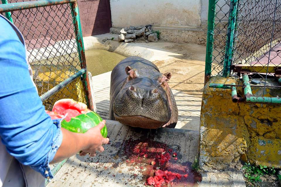 Zoológico municipal de Tulancingo abre sus puertas