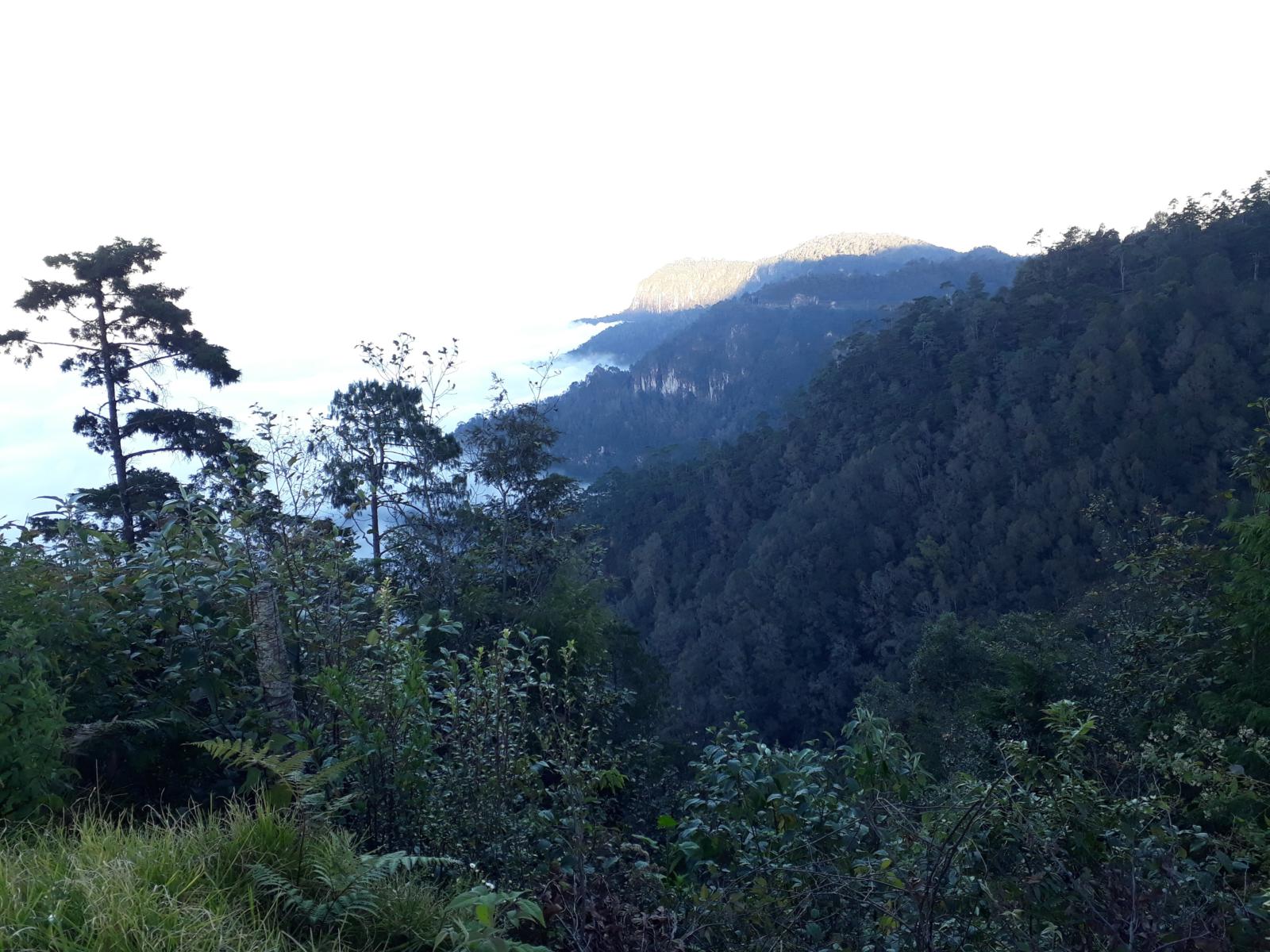 Presentan análisis sobre paisajes de la Huasteca