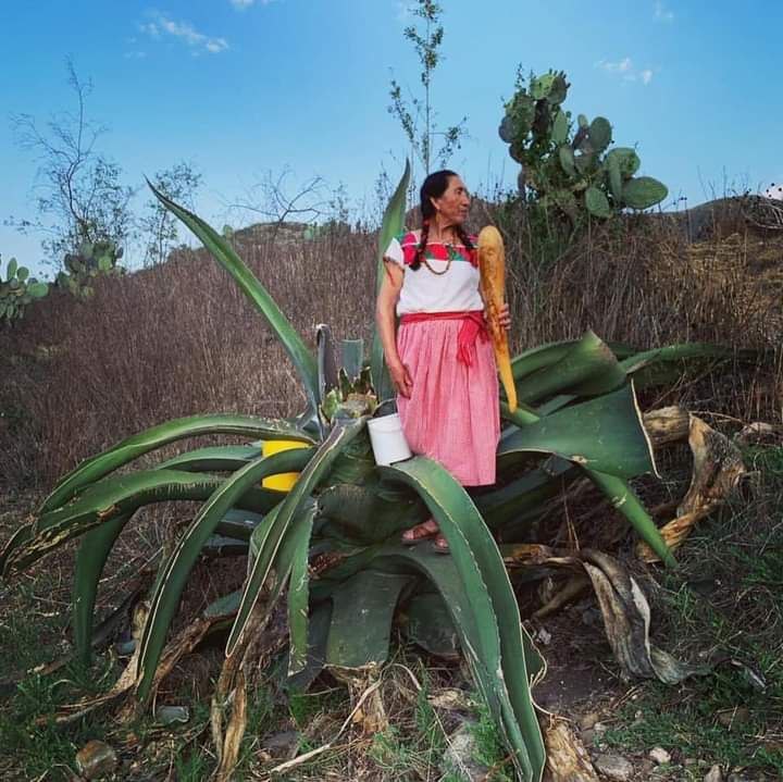 Ganadoras de ¿A qué sabe la patria? orgullosas de la cocina tradicional