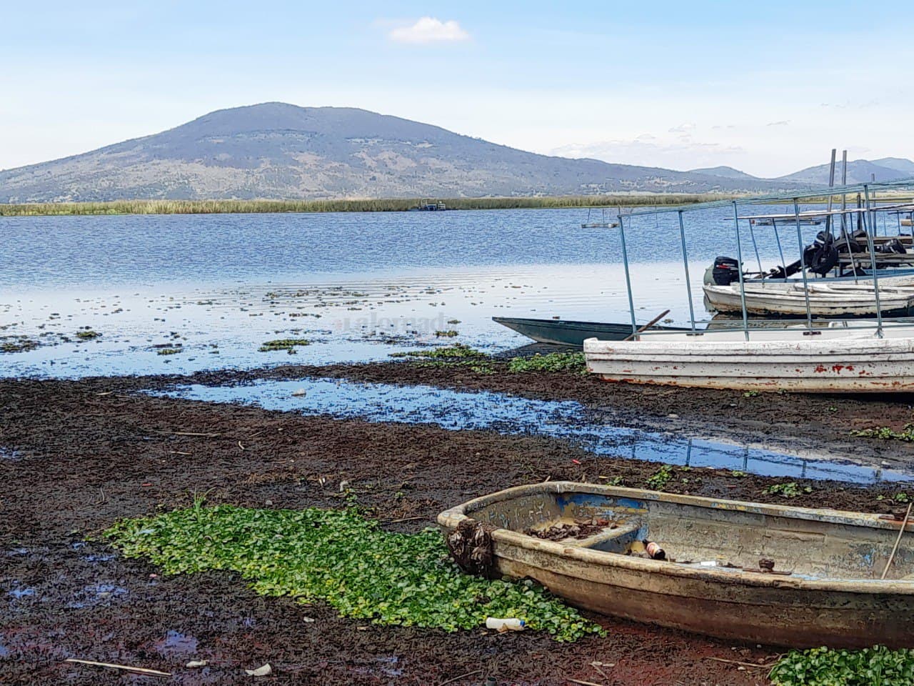 Disputan pobladores de Apan y Cuautepec predio de laguna de Tecocomulco