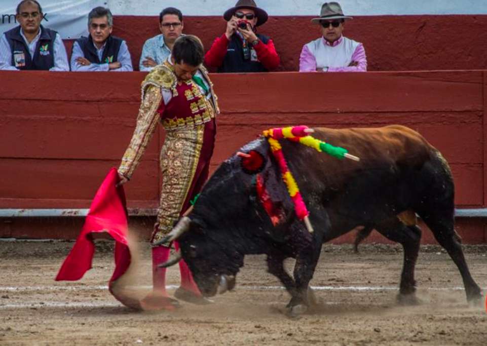 Luis Gallardo se presentará en la Plaza de Toros de “San Marcos” este fin de semana