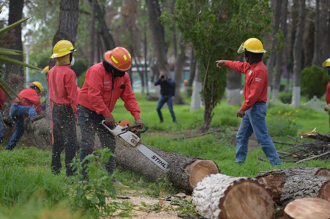 Autoridades estatales y locales, sin plan de manejo de áreas verdes: ambientalista