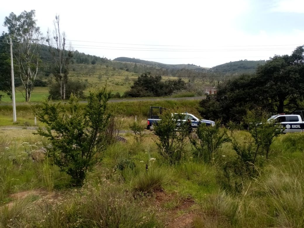 Hallan cráneo y huesos humanos en predio de Tulancingo