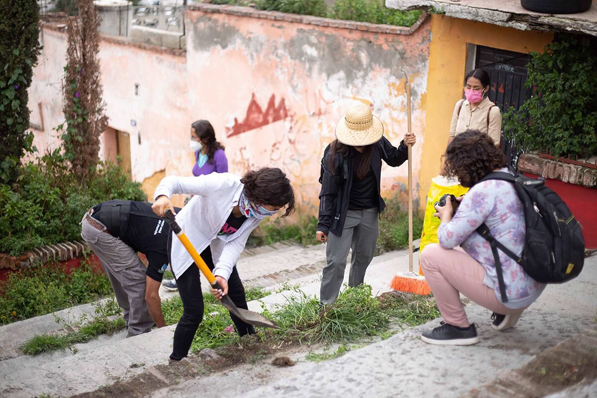 Organización Fronda genera jardines de polinización en Pachuca