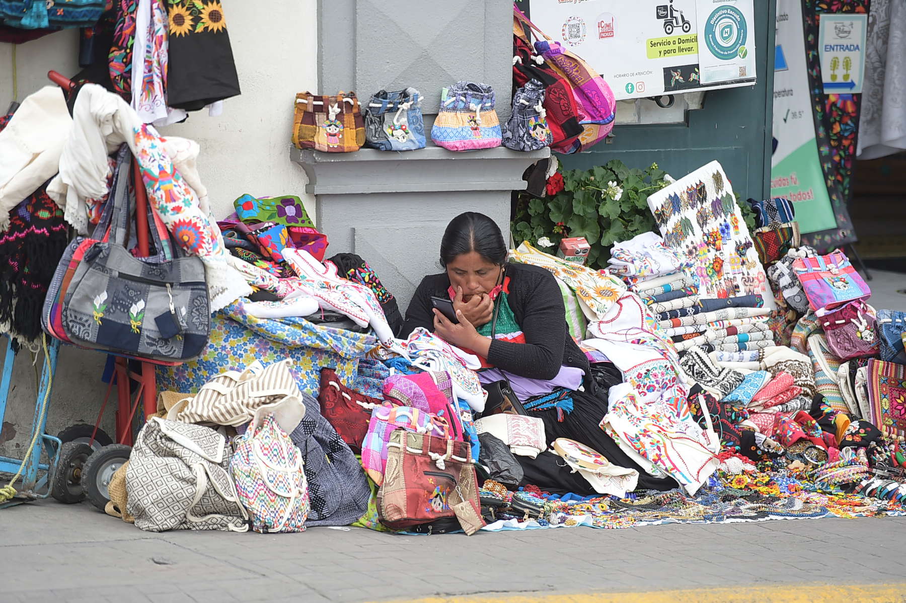 Pandemia y pueblos indígenas: prioridades de la 65 Legislatura