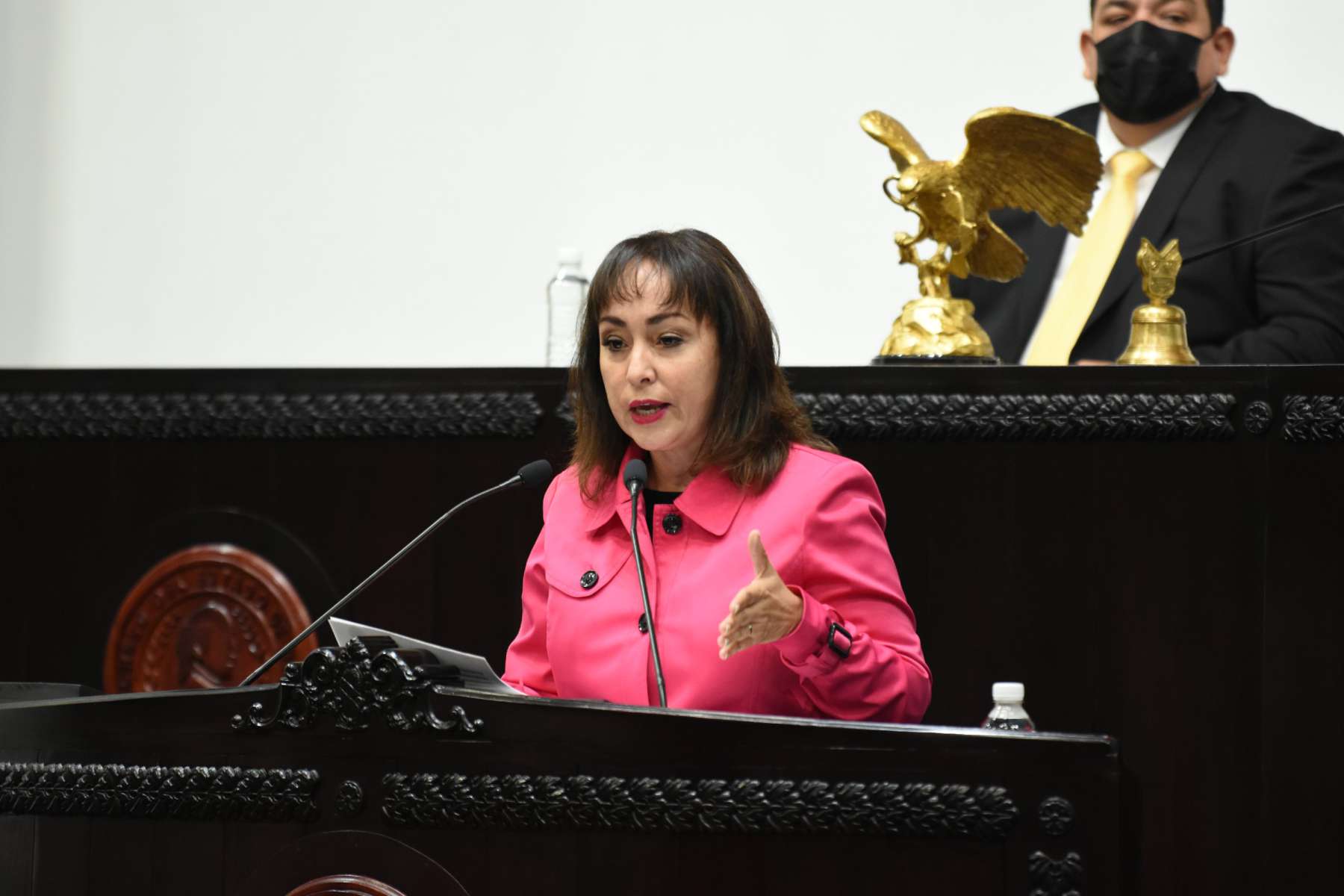 Pide diputada del PRI recursos para revestimiento de presa Endhó