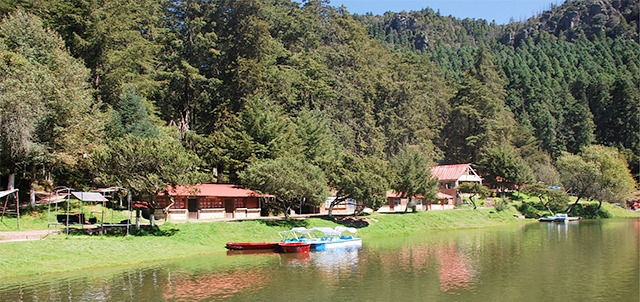 El Cedral en Hidalgo, parque ecoturístico  que debes conocer