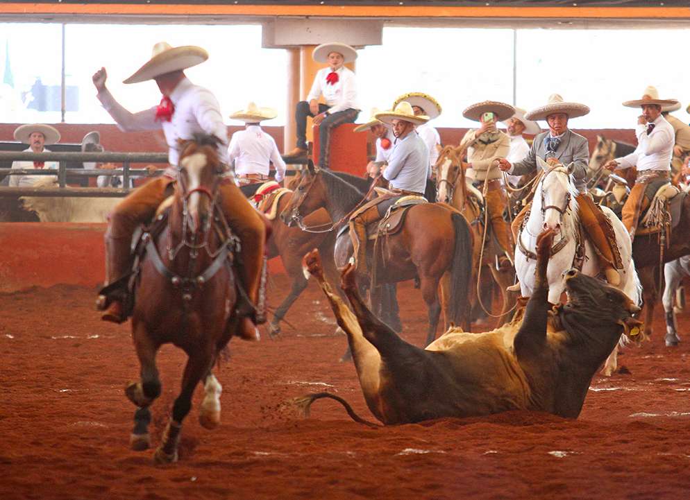 Rancho ‘Las Cuatas’ repite título en el Excelencia Charra