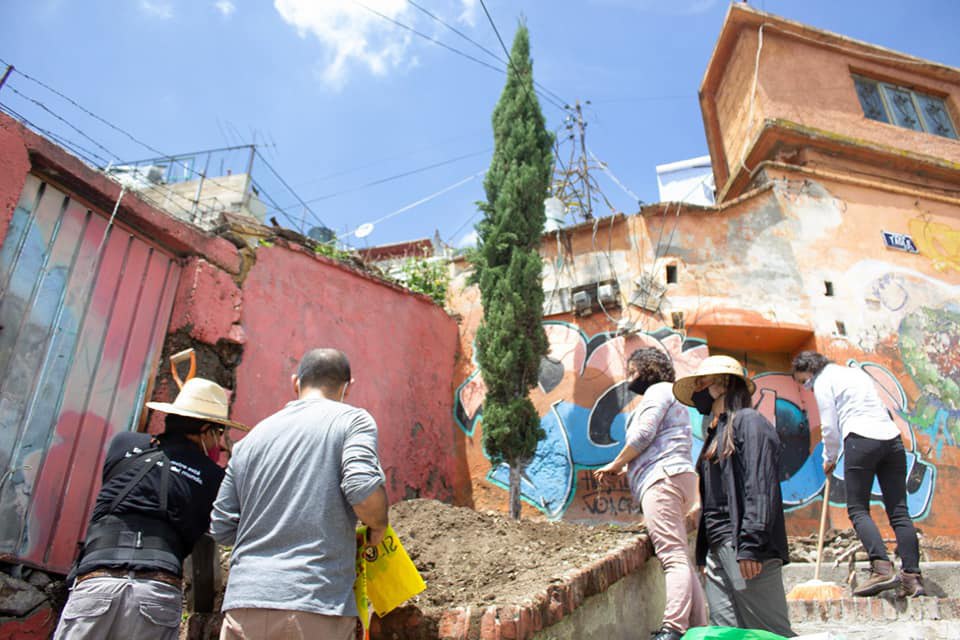 Néctar, arte transversal a favor del medio ambiente