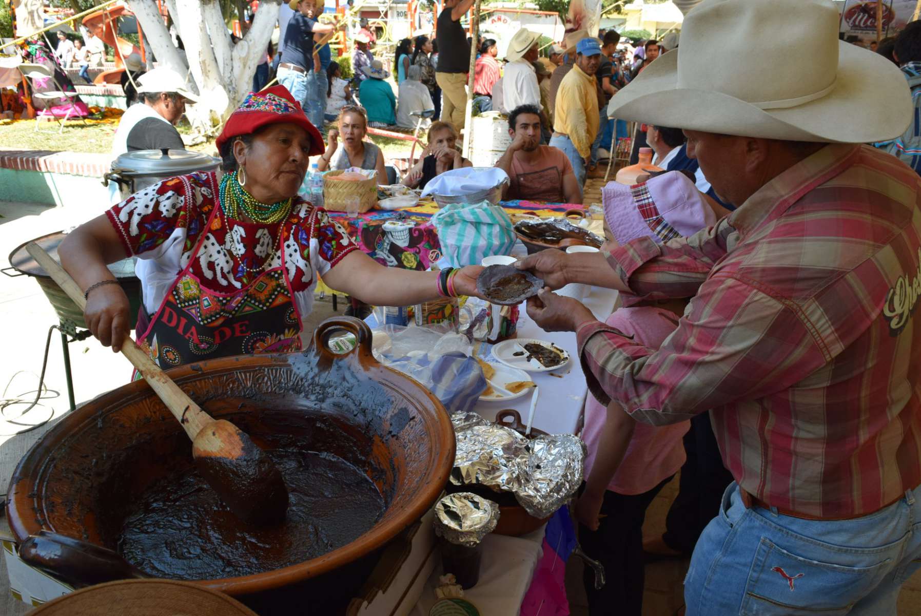 Llega la VII Feria del Mole en Santa Ana Hueytlalpan