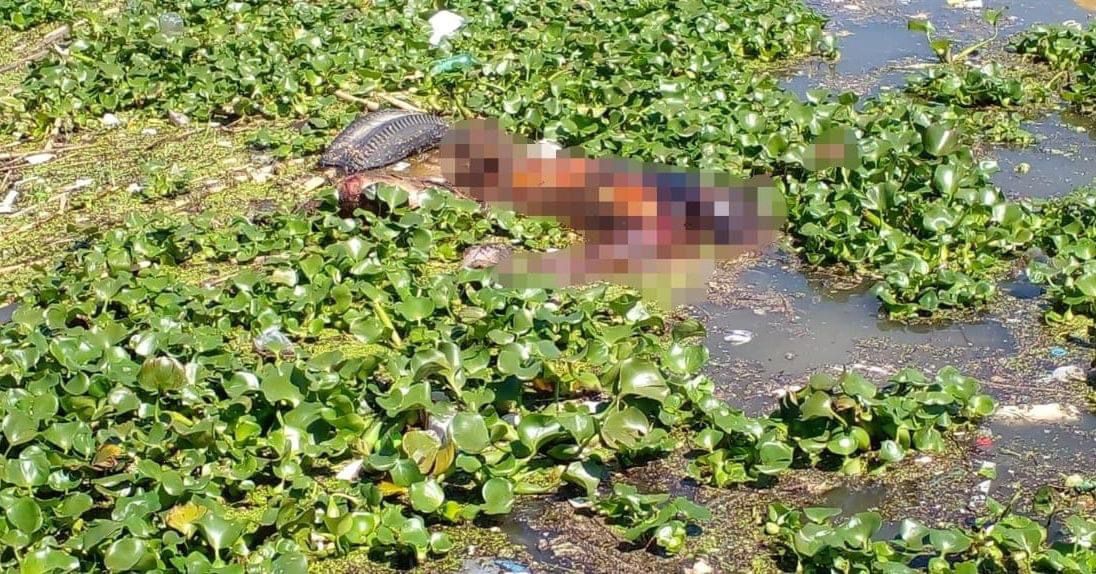 Hallan cuerpo flotando en aguas de la presa Endhó