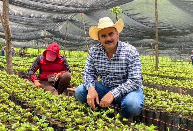 Acusan a alcalde de Tepehuacán de adjudicarse trabajo de empresa cafetalera