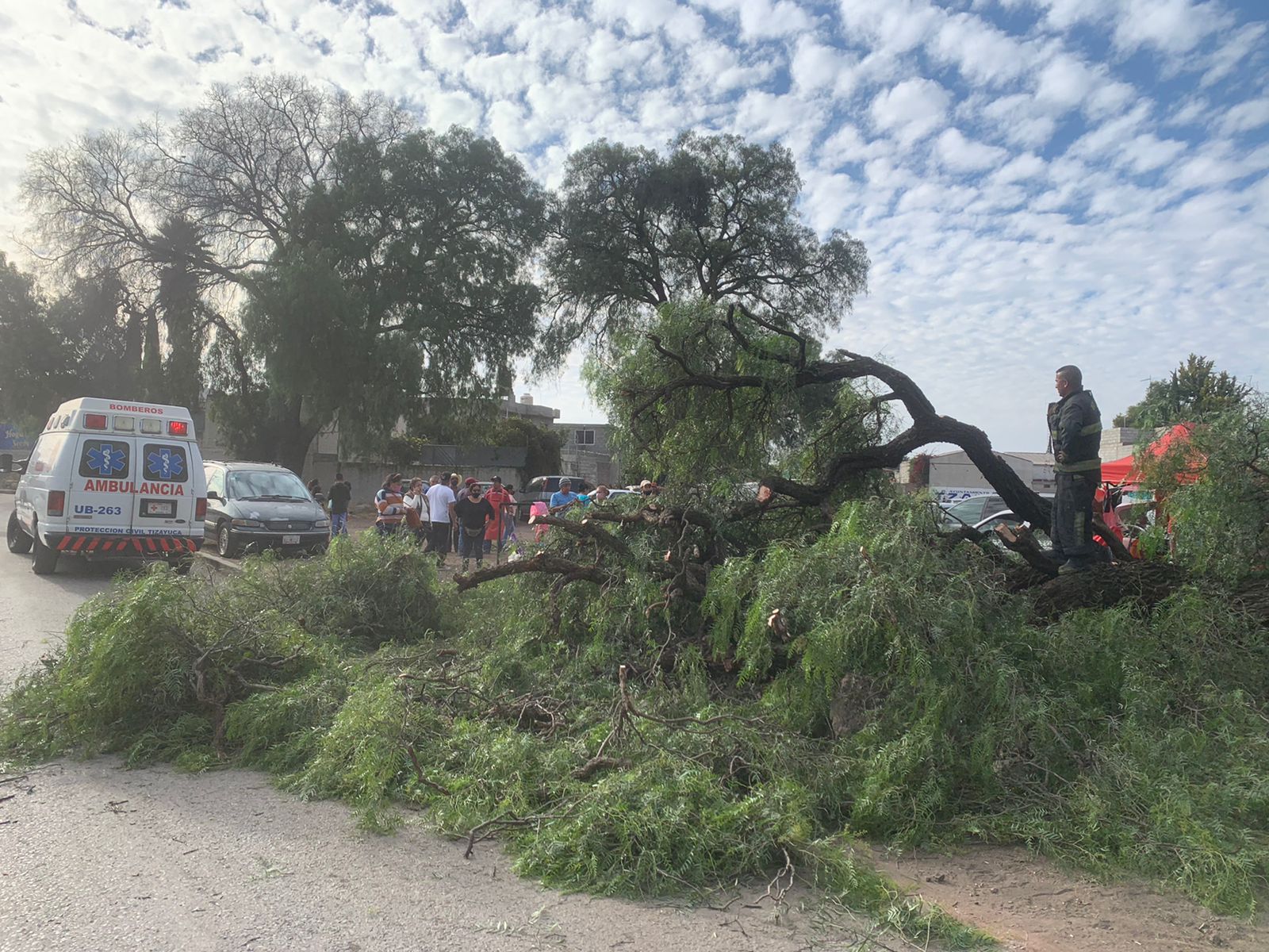 Cae árbol sobre puestos de tianguis en Tizayuca