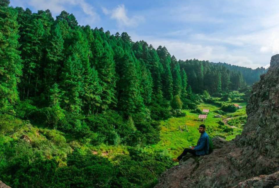 Llega el Bosque iluminado al Valle de los Enamorados