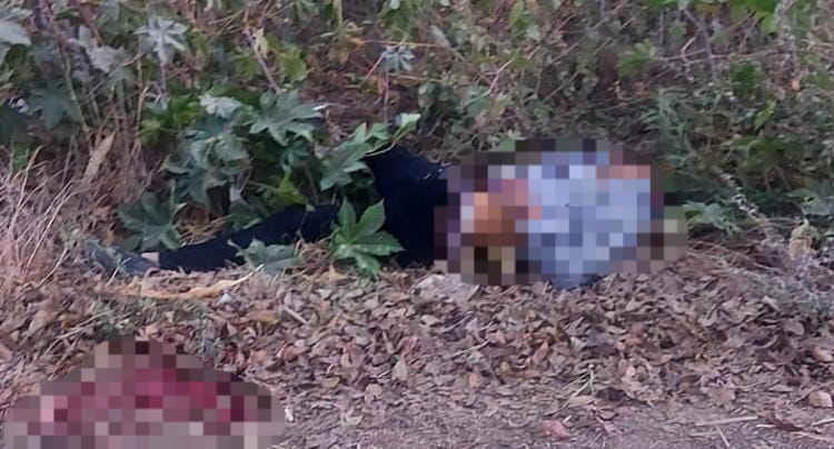 Ejecutan con tiro de gracia a joven de Tecozautla