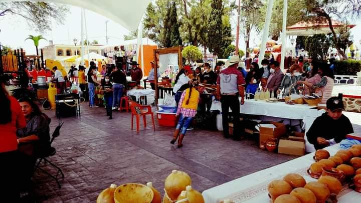 Listo el Cuarto Festival Popular del Maguey en Singuilucan