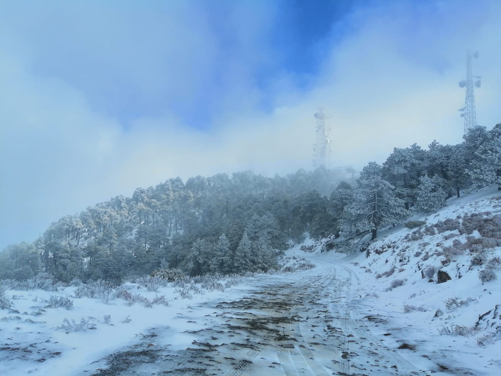 Clima hoy 7 de febrero: frente frío 28 seguirá afectando a estos estados