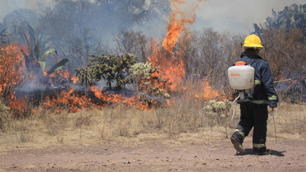 Durante enero se registraron 7 incendios forestales en Hidalgo