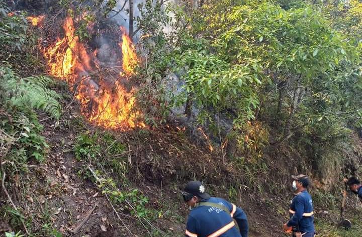 Un día tardaron en controlar incendio forestal en Tenango de Doria