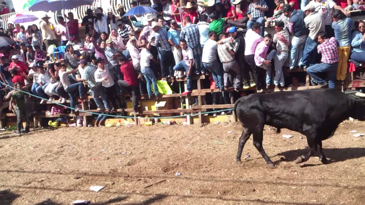 Confirman pamplonada en Santiago Tulantepec