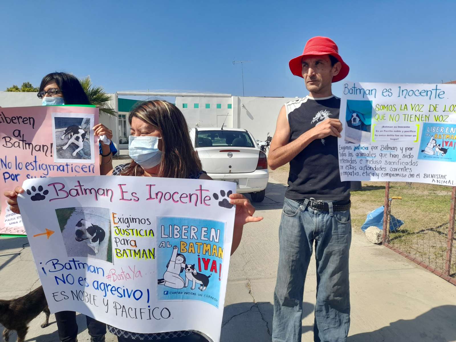 Piden liberar a Batman, perrito en situación de calle