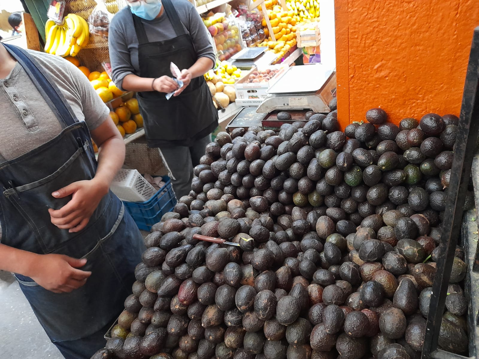 Precio del aguacate está por los cielos; llega a los 120 pesos el kilo