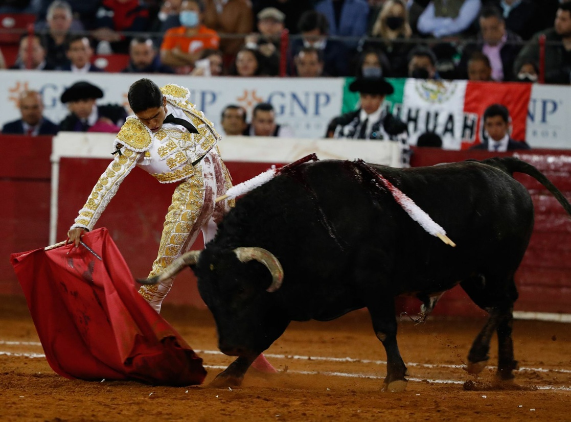 Plaza de Toros México suspende corridas por tiempo indefinido