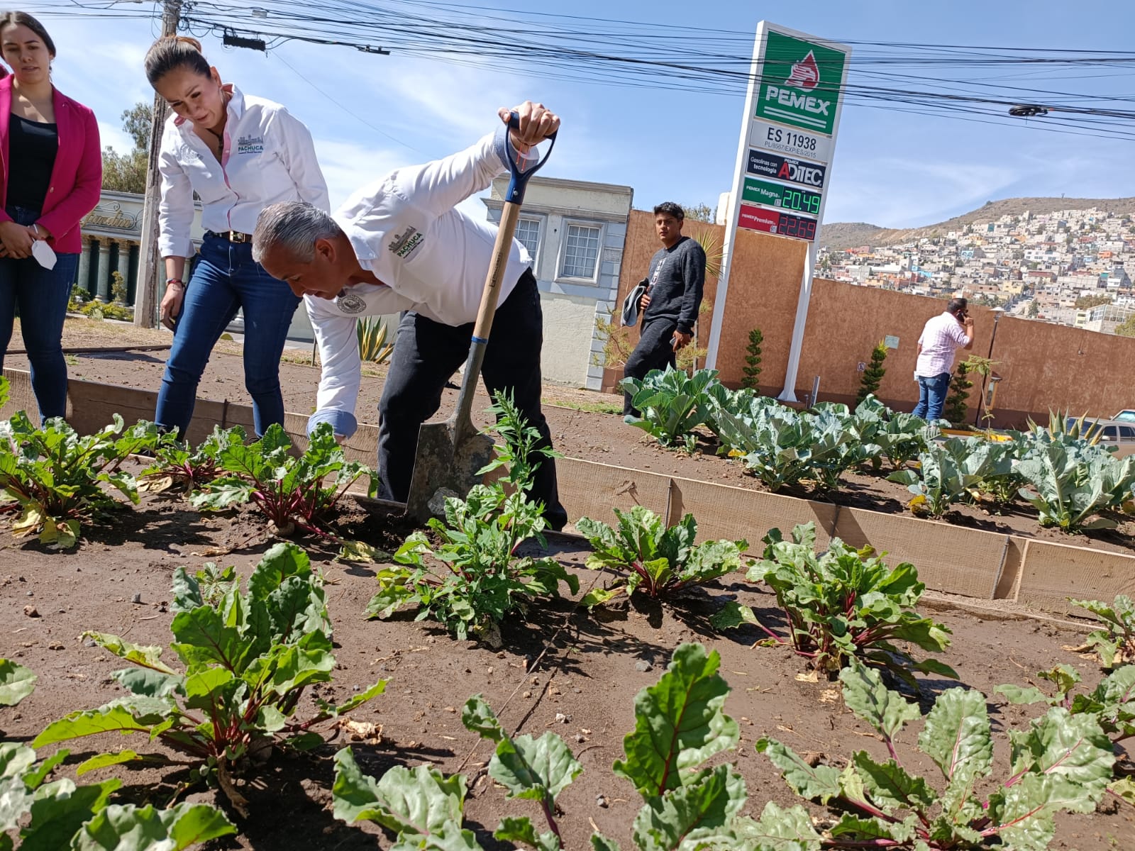 Huertos urbanos continuarán en más colonias de Pachuca