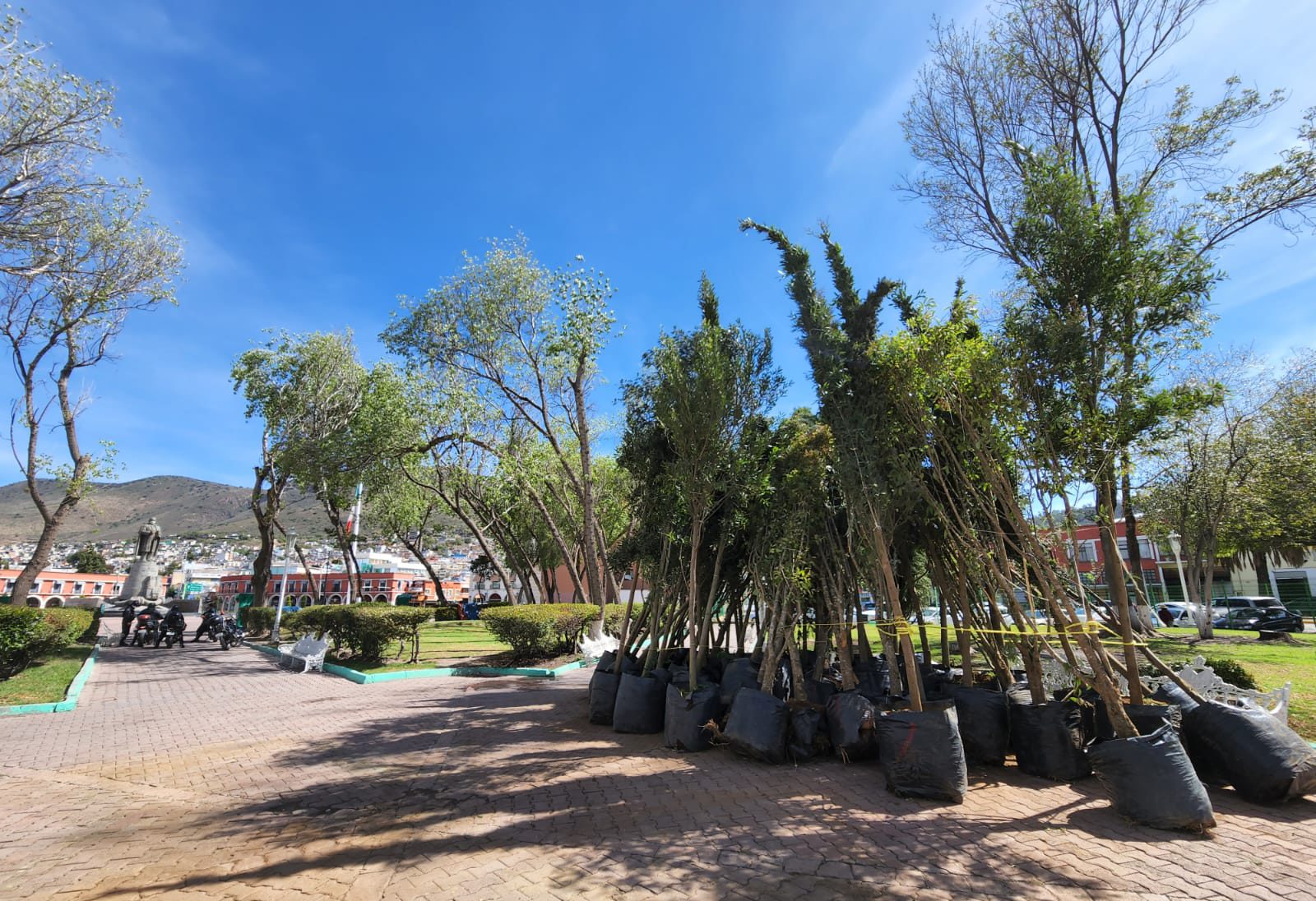 Pachuca invita a reforestar el jardín de los Hombres Ilustres