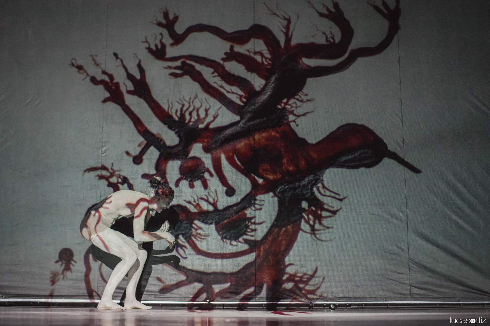 Vientos de Sangre: danza butoh en función única en Foro DobleNueve