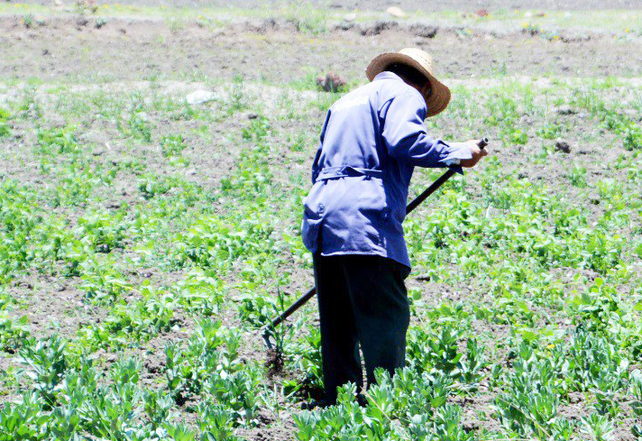 Libre de sequía la totalidad del territorio hidalguense: Conagua