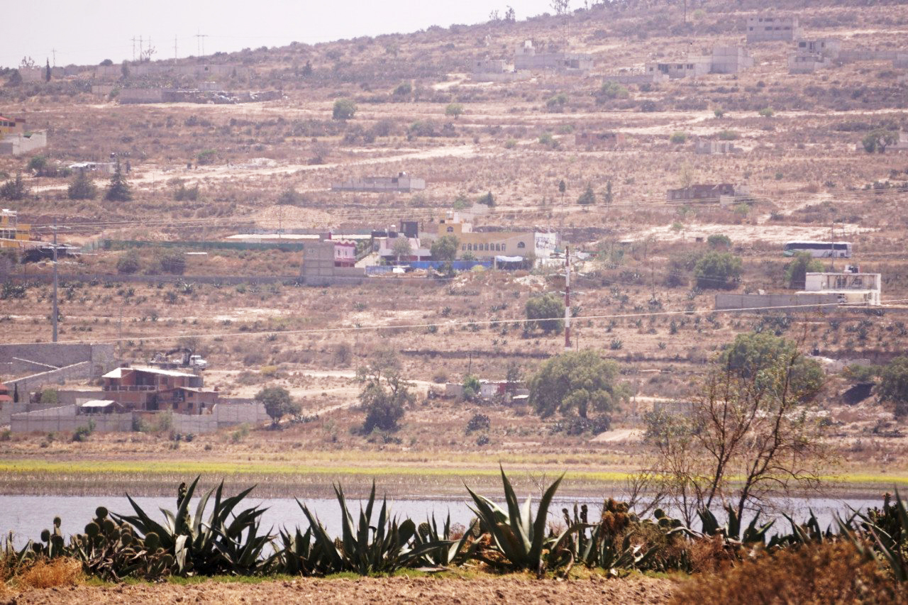 Sequía activará uso de seguro agrícola este año