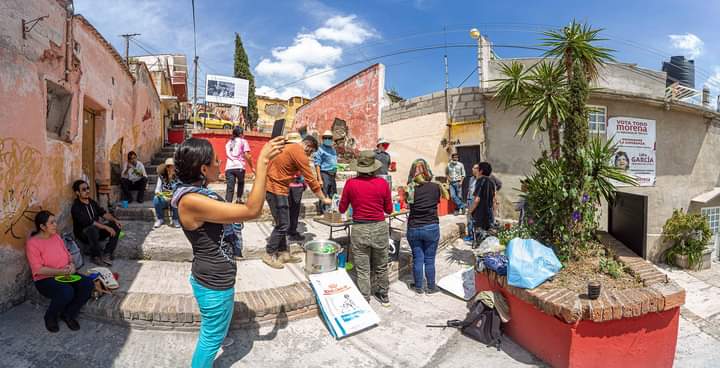 Fronda llama a artistas locales para intervenir la ruta polinizadora