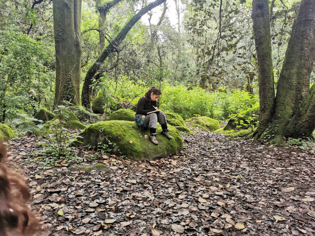 Realizarán segunda edición de Ecorrespondencias será en el Parque Nacional El Chico