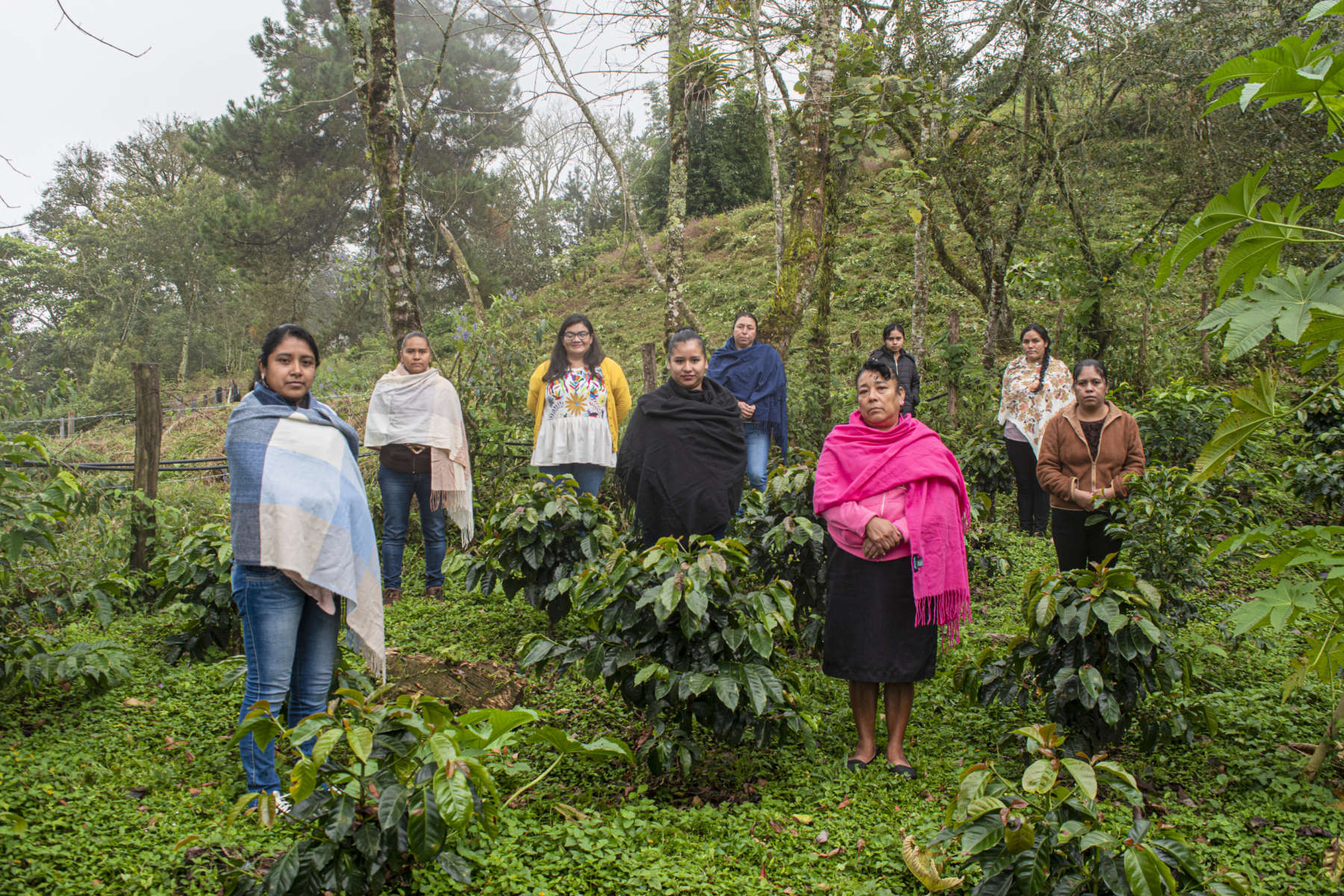 Visibilizarán a mujeres cafetaleras de Tenango de Doria en Alemania