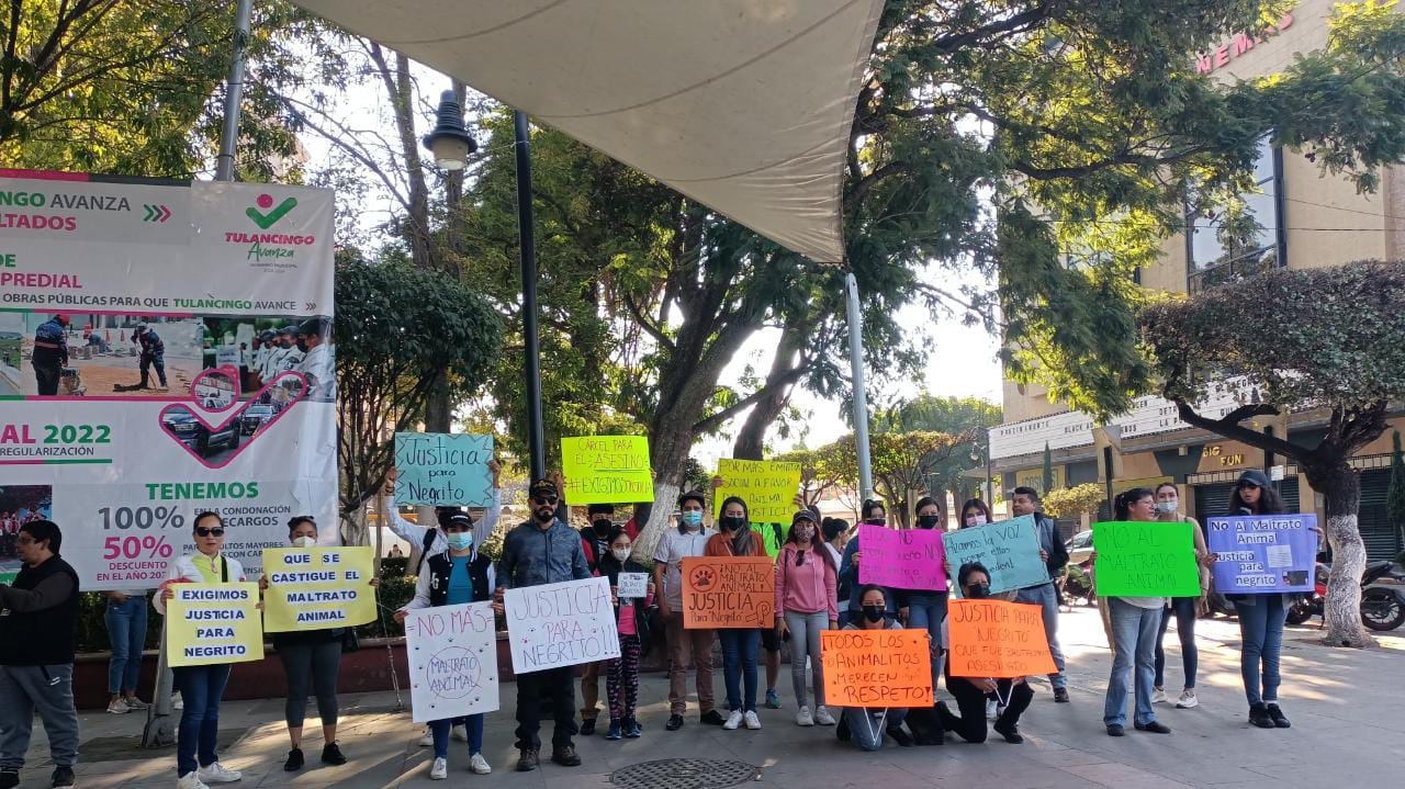 Marchan en Tulancingo para exigir justicia por perrito agredido a machetazos