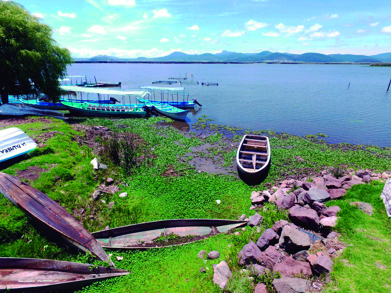 Limpieza de laguna de Tecocomulco avanza en un 75%