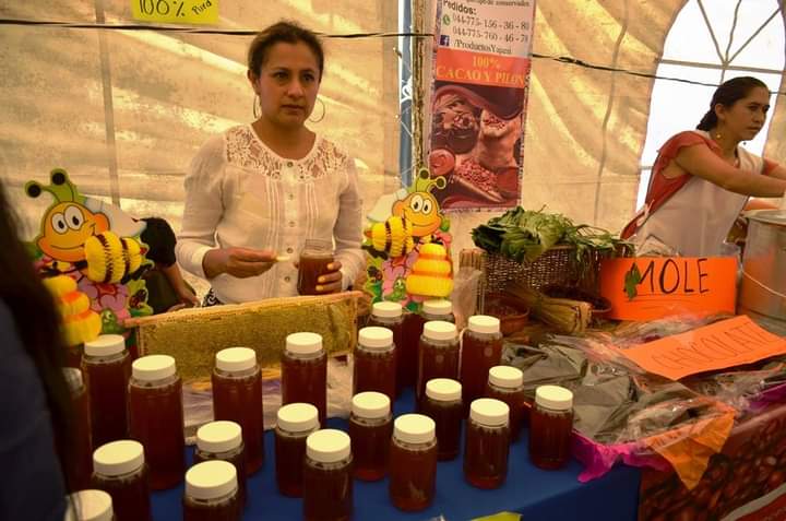 Ferias temáticas en Tulancingo quedaron en letra muerta